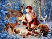 Opakowanie Diamentowa Mozaika Zima Mikołaj w lesie ze zwierzętami NO-2000887