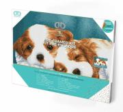 Opakowanie DIAMOND DOTZ ADULTS  LITTLE CHAMPS