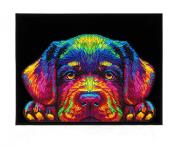 Opakowanie Diamond Dotz - Adults Neon Puppy