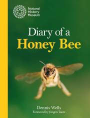 Okładka książki Diary of a Honey Bee