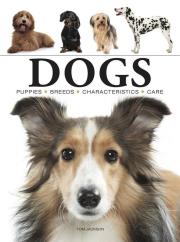 Dogs wer. angielska. Autor: Jackson Tom. Dadada.pl Okładka książki Dogs wer. angielska