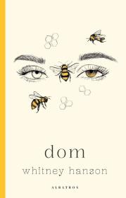 Dom. Autor: Whitney Hanson. Dadada.pl Okładka książki Dom