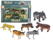 Opakowanie Dzikie zwierzęta 6szt