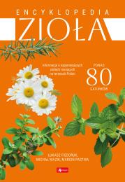 Encyklopedia zioła. Autor: Łukasz Fiedoruk, Michał Mazik, Marcin Pastwa. Dadada.pl Okładka książki Encyklopedia zioła