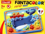 Fantacolor cards animals. Wydawca: Quercetti. Dadada.pl Opakowanie Fantacolor cards animals