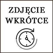 Fidget toy busters. Wydawca: BRANDED.ŚLIWIŃSKI. Dadada.pl Opakowanie Fidget toy busters