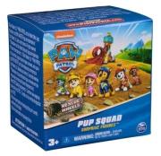 Figurka Psi Patrol 5cm mix. Wydawca: Spin Master. Dadada.pl Opakowanie Figurka Psi Patrol 5cm mix