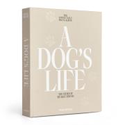 Fotoalbum Pies A Dog's Life. Wydawca: Printworks. Dadada.pl Opakowanie Fotoalbum Pies A Dog's Life