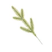 Gałązka do stroików. Wydawca: ARPEX. Dadada.pl Opakowanie Gałązka do stroików