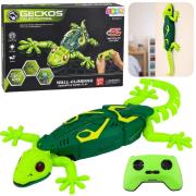 Opakowanie Gekon zdanlie sterowany zielony