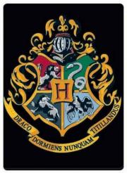 Opakowanie Harry Potter Magnes Herb Hogwartu