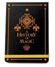 Opakowanie Harry Potter Notes pocket Historia Magii