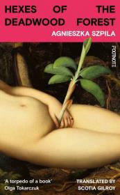 Okładka książki Hexes of the Deadwood Forest