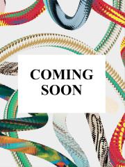 Okładka książki Homes for Our Time. Contempora