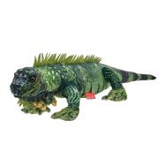 Opakowanie Iguana 72cm