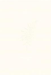 Okładka książki Kalcyt