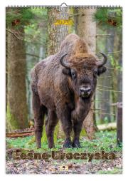 Opakowanie Kalendarz 2026 A2 ścienny jednostronny uroczyska