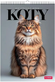 Opakowanie Kalendarz 2026 A3 wieloplanszowy Koty