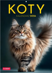 Opakowanie Kalendarz 2026 A4 Wieloplanszowy Koty