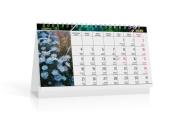 Kalendarz 2026 biurkowy flora. Wydawca: Kalpol. Dadada.pl Opakowanie Kalendarz 2026 biurkowy flora