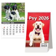 Opakowanie Kalendarz 2026 biurkowy pionowy miesięczny HELMA