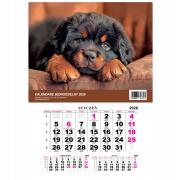 Kalendarz 2026 jednodzielny Pies. Wydawca: O-press. Dadada.pl Opakowanie Kalendarz 2026 jednodzielny Pies