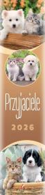 Opakowanie Kalendarz 2026 paskowy Przyjaciele