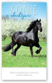 Opakowanie Kalendarz 2026 reklamowy Konie w obiektywie