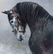 Opakowanie Kalendarz 2026 ścienny 32x32cm Konie