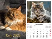 Opakowanie Kalendarz 2026 ścienny 7-k Koty