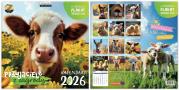 Opakowanie Kalendarz 2026 ścienny Classic Przyjaciele z...