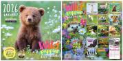 Opakowanie Kalendarz 2026 ścienny Classic Wild Puppies