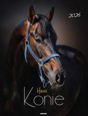 Opakowanie Kalendarz 2026 ścienny Konie