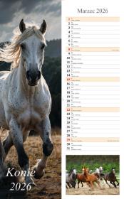 Opakowanie Kalendarz 2026 ścienny pasek Konie