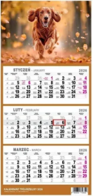 Kalendarz 2026 trójdzielny mały Pies. Wydawca: O-press. Dadada.pl Opakowanie Kalendarz 2026 trójdzielny mały Pies