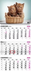 Kalendarz 2026 trójdzielny na spirali Koty. Wydawca: O-press. Dadada.pl Opakowanie Kalendarz 2026 trójdzielny na spirali Koty