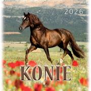 Opakowanie Kalendarz 2026 wieloplanszowy 33x33cm Konie