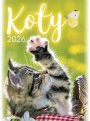 Opakowanie Kalendarz 2026 wieloplanszowy B4 Koty