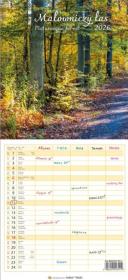 Opakowanie Kalendarz 2026 wieloplanszowy wąski - Malowniczy..