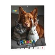Opakowanie Kalendarz 2027 ścienny 23x30,5cm Przyjaciele