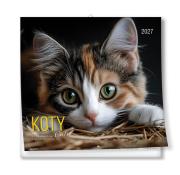 Opakowanie Kalendarz 2027 ścienny 30x30cm Koty