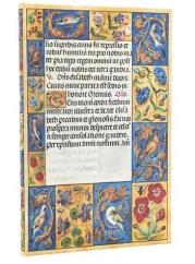 Kalendarz książkowy maxi 2026 Spinola Hours. Wydawca: Paperblanks. Dadada.pl Opakowanie Kalendarz książkowy maxi 2026 Spinola Hours