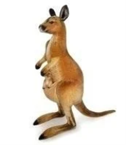 Opakowanie Kangur 45cm