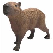 Opakowanie Kapibara