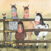 Karnet AC28 Konie i kuce. Wydawca: Alex Clark. Dadada.pl Opakowanie Karnet AC28 Konie i kuce