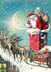 Opakowanie Karnet B6 brokat z kopertą Święta Mikołaj