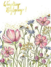 Karnet B6 Kwiaty polne. Wydawca: Henry. Dadada.pl Opakowanie Karnet B6 Kwiaty polne