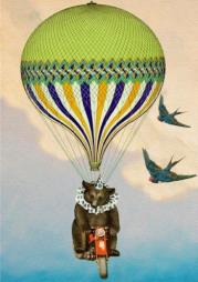 Opakowanie Karnet B6 z kopertą Cyrkowy miś