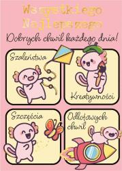 Opakowanie Karnet B8 mini Aksoloty z insta