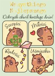 Opakowanie Karnet B8 mini Kapibary z insta